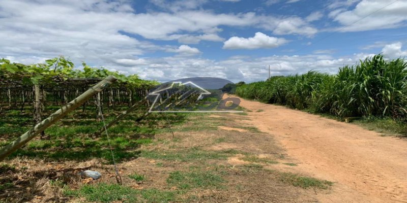 Fazenda, 6000m², à venda - Imob Petrolina