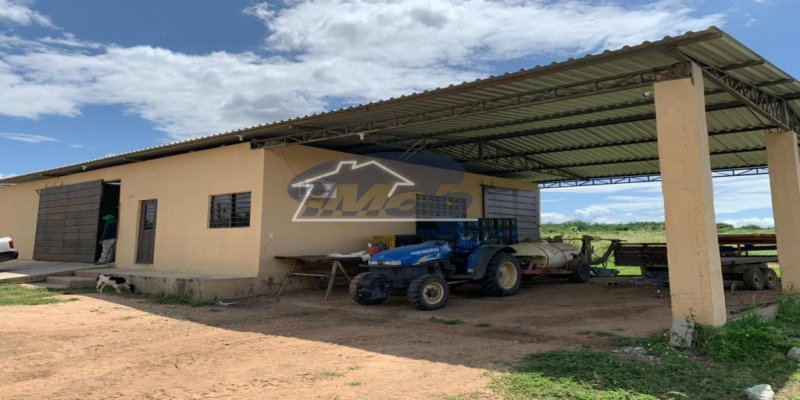 Fazenda, 6000m², à venda - Imob Petrolina
