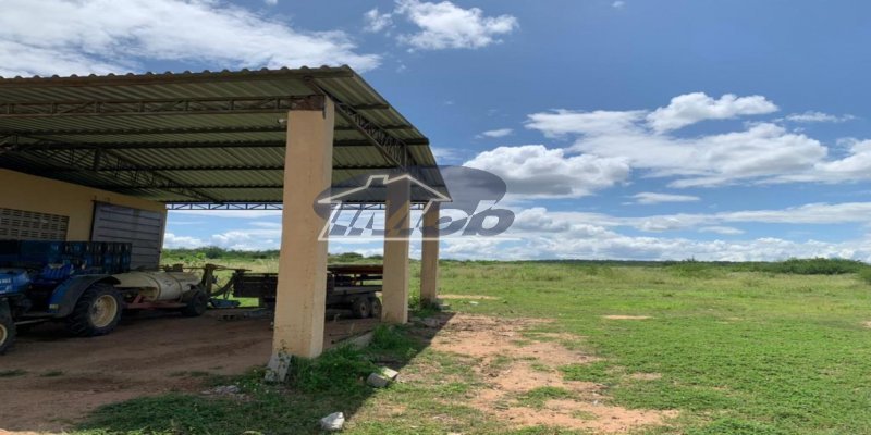 Fazenda, 6000m², à venda - Imob Petrolina