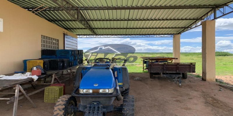 Fazenda, 6000m², à venda - Imob Petrolina