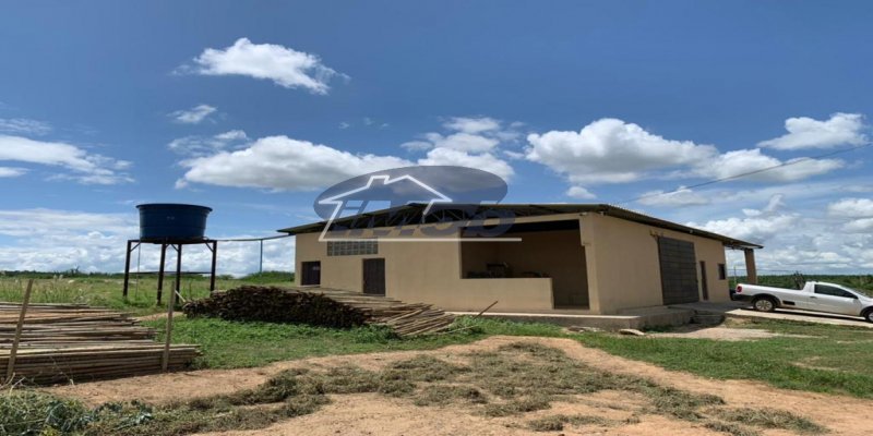 Fazenda, 6000m², à venda - Imob Petrolina
