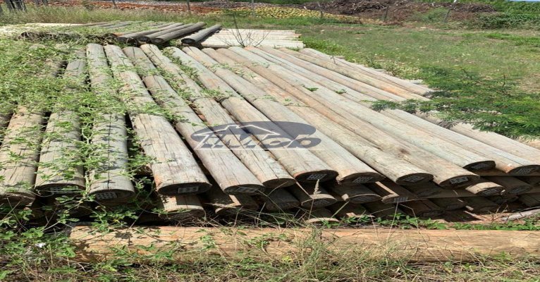 Fazenda, 6000m², à venda - Imob Petrolina